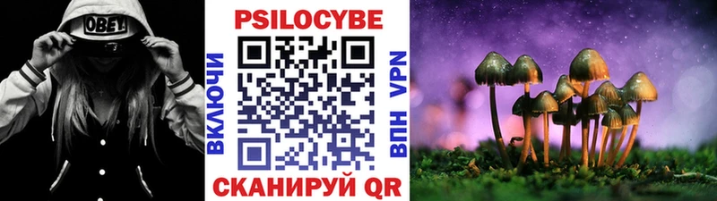 купить наркоту Нолинск Псилоцибиновые грибы GOLDEN TEACHER